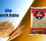 Aşurelik Buğday